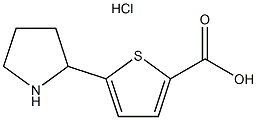 5-pyrrolidin-2-ylthiophene-2-carboxylic acid hydrochloride