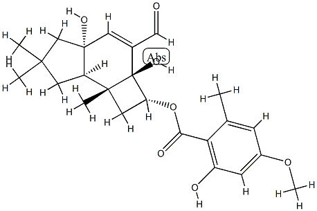 armillarilin