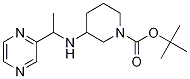 3-(1-Pyrazin-2-yl-ethylaMino)-piperidine-1-carboxylic acid tert-butyl ester