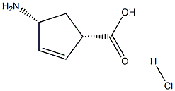 (1S,4R)-4-氨基环戊-2-烯羧酸盐酸盐