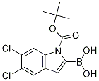 1-Boc-5,6-二氯-1H-吲哚-2-硼酸