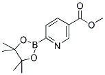 METHYL PYRIDINE-2-BORONIC ACID PINACOL ESTER-5-CARBOXYLATE