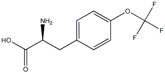 (2S)-2-AMINO-3-[4-(TRIFLUOROMETHOXY)PHENYL]PROPANOIC ACID