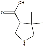 3R-4,4-二甲基-吡咯-3-羧酸