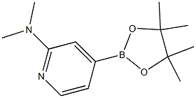 N,N-diMethyl-4-(4,4,5,5-tetraMethyl-1,3,2-dioxaborolan-2-yl)pyridin-2-aMine