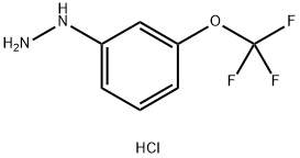 3-三氟甲氧基苯肼(HCL)