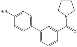 4-{3-[(Pyrrolidin-1-yl)carbonyl]phenyl}aniline