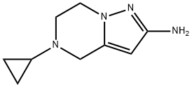 5-环丙基-4,5,6,7-四氢吡唑并[1,5-a]吡嗪-2-胺