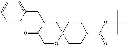 tert-butyl 4-benzyl-3-oxo-1-oxa-4,9-diazaspiro[5.5]undecane-9-carboxylate