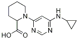 1-(6-CyclopropylaMino-pyriMidin-4-yl)-piperidine-2-carboxylic acid