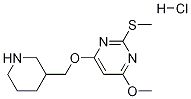 4-甲氧基-2-甲硫基-6-(哌啶-3-基甲氧基)嘧啶盐酸盐