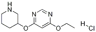 4-Ethoxy-6-(piperidin-3-yloxy)-pyriMidine hydrochloride