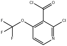 2-Chloro-4-(trifluoromethoxy)pyridine-3-carbonyl chloride