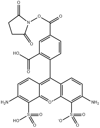 AF488 活性酯