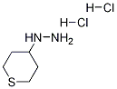 四氢噻喃-4-肼双盐酸盐