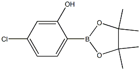 2-羟基-4-氯苯硼酸频呐醇酯