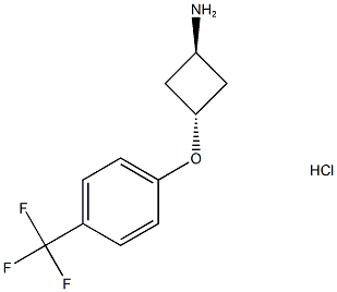 CyclobutanaMine, 3-(4-trifluoroMethylphenoxy)-, hydrochloride (1:1), trans-