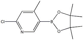 2-Chloro-4-methyl-5-(tetramethyl-1,3,2-dioxaborolan-2-yl)pyridine