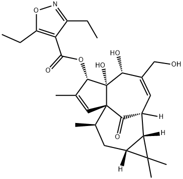 LEO-43204