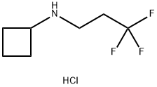 N-(3,3,3-三氟丙基)环丁胺盐酸盐