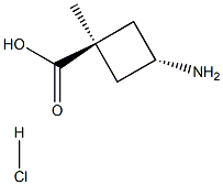 trans-3-AMino-1-Methylcyclobutanecarboxylic acid hydrochloride