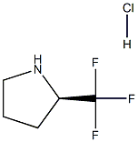 (R)-2-三氟甲基吡咯烷盐酸盐