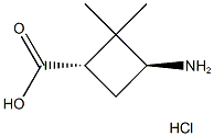 trans-3-Amino-2,2-dimethylcyclobutane-carboxylic acid hydrochloride