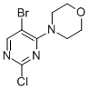 5-溴-2-氯-4-吗啉嘧啶