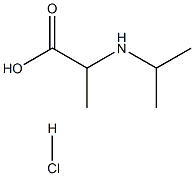 2-[(丙-2-基)氨基]丙酸盐酸盐