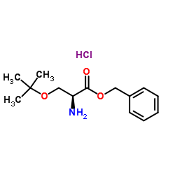 O-叔丁基-苄酯-L-丝氨酸盐酸盐