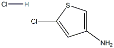 3-AMino-5-chlorothiophene hydrochloride