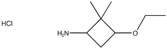 3-Ethoxy-2,2-dimethylcyclobutan-1-amine hydrochloride