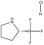 (S)-2-(三氟甲基)吡咯烷盐酸盐