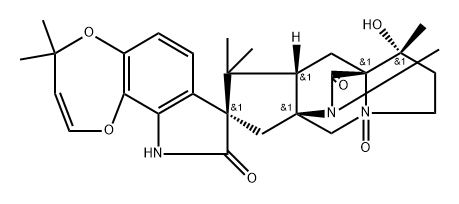 VM 55596