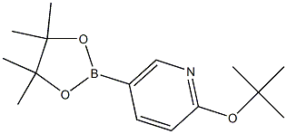 2-三级丁氧基-5-(4,4,5,5-四甲基-1,3,2-二氧杂环戊硼烷-2-基)吡啶