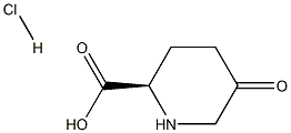 (R)-5-氧代哌啶-2-羧酸盐酸盐