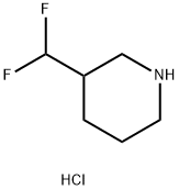 3-(difluoromethyl)piperidine hydrochloride