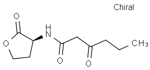 (S)-6-Oxo-N-(2-oxotetrahydrofuran-3-yl)hexanamide