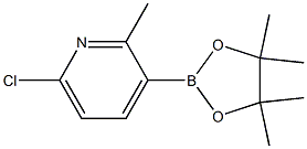 6-Chloro-2-Methyl-3-(4,4,5,5-tetraMethyl-1,3,2-dioxaborolan-2-yl)pyridine