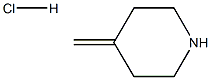 4-Methylenepiperidine HCl