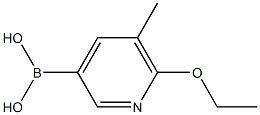 2-乙氧基-3-甲基吡啶-5-硼酸