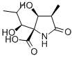 (3R,4S,5R)-4-HYDROXY-5-[(1S)-1-HYDROXY-2-METHYLPROPYL]-3-METHYL-2-PYRROLIDINONE-5-CARBOXYLIC ACID