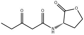 N-3-OXO-PENTANOYL-L-HOMOSERINE LACTONE