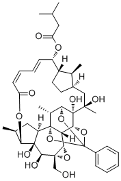 Trigothysoid N