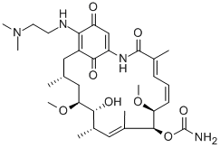 17-(DIMETHYLAMINOETHYLAMINO)-17-DEMETHOXYGELDANAMYCIN HCL