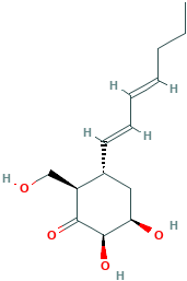 palitantin