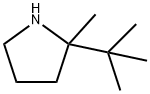 2-叔丁基-2-甲基吡咯烷