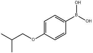 Boronic acid, B-[4-(2-methylpropoxy)phenyl]-