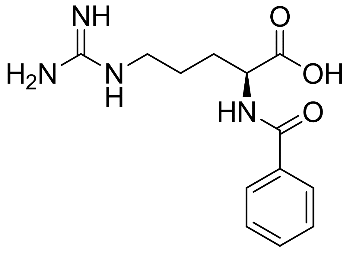 N-苯甲酰基-L-精氨酸