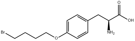 O-(4-Bromobutyl)-L-tyrosine HCl